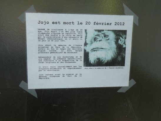  mort de Jojo, chimpanzé du parc de la Pépinière, à l'âge de 60 ans.